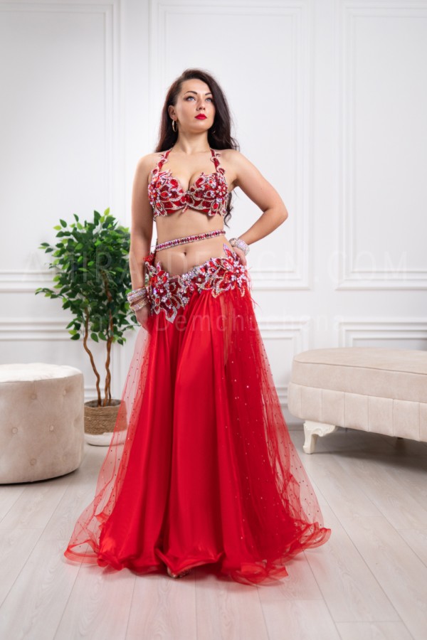 Professional bellydance costume (Classic 289 A_1)
